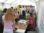 Enthusiastic walkers fill the check-in marquee at Tattenham Corner